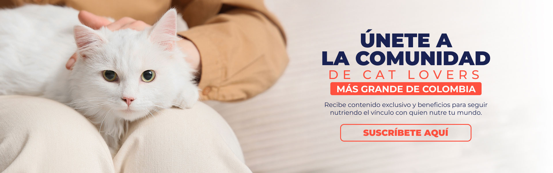 Banner: NG Home suscribete Cat